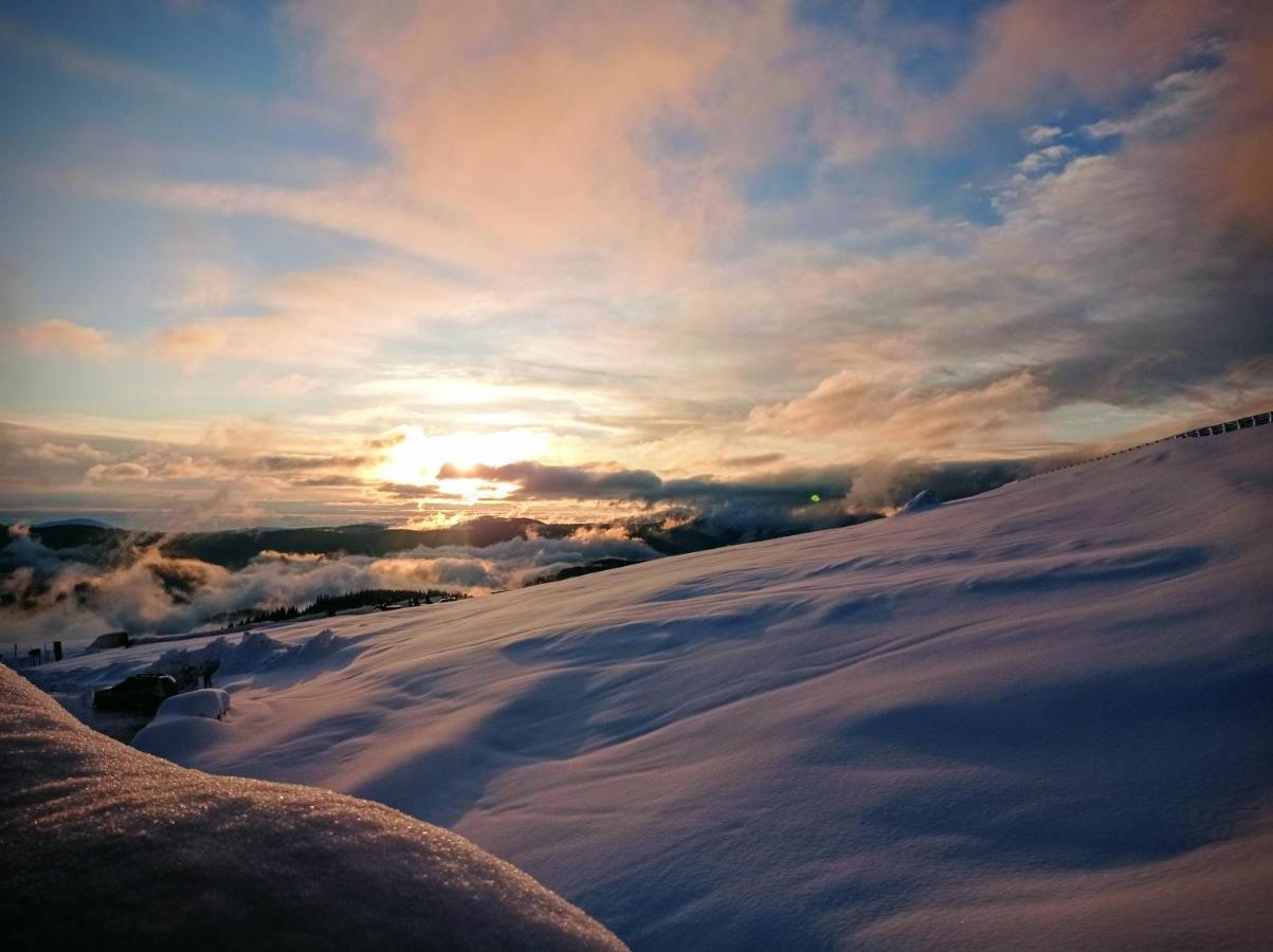 Cabana Transalpina Ranca Luaran gambar