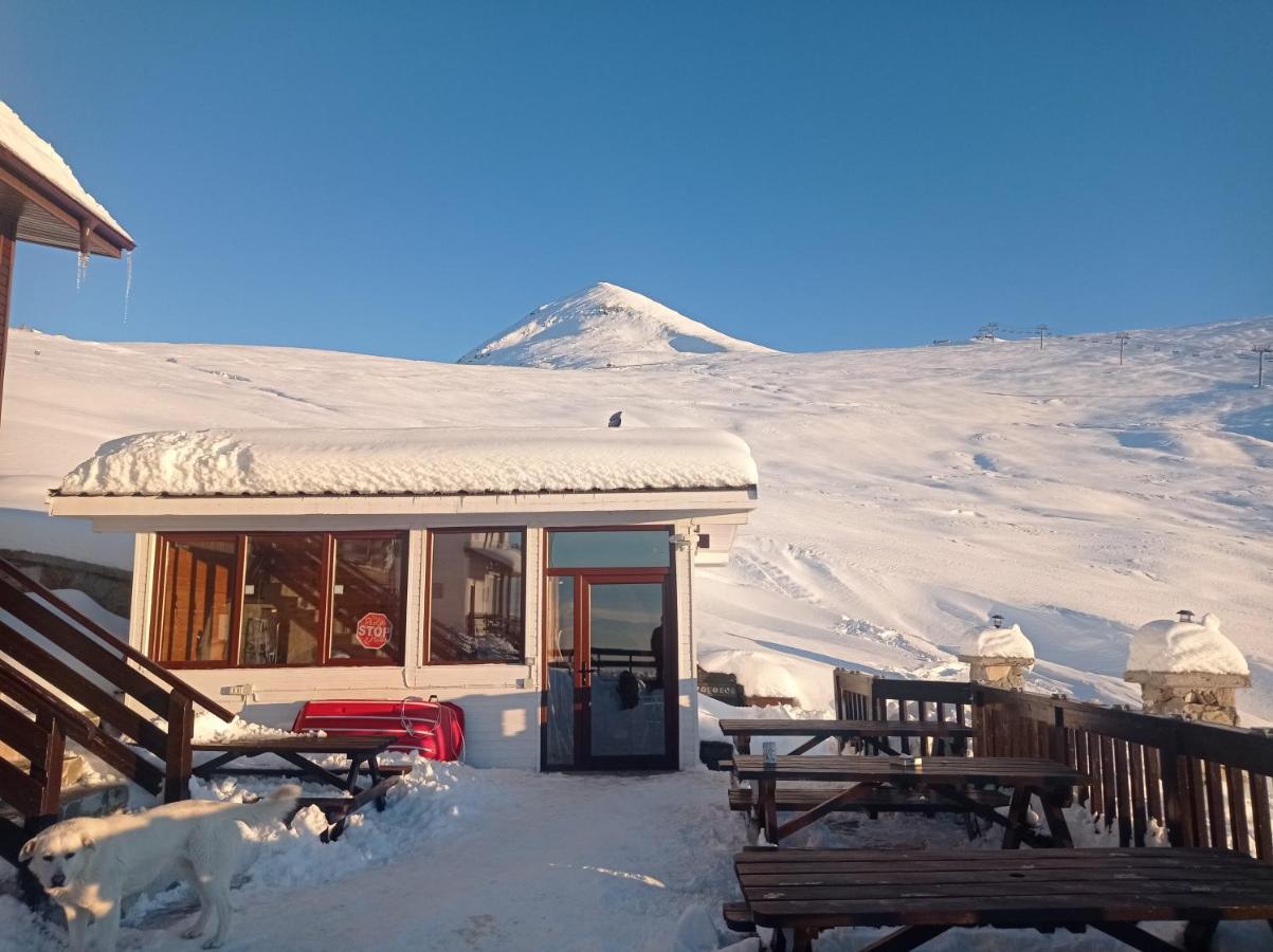 Cabana Transalpina Ranca Luaran gambar